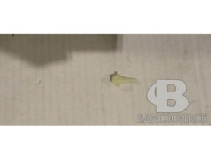 GEAR BEVEL PPR - 189-1034716