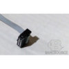 NCR 5890 OEM SDC PATCH CABLE 10FT. - 445-0685027
