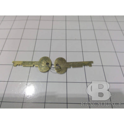 PRE-CUT RENTER KEY (PAIR) - SG44500RK