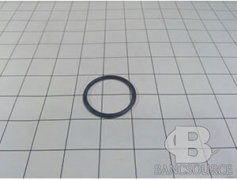 O-RING (223) PPR